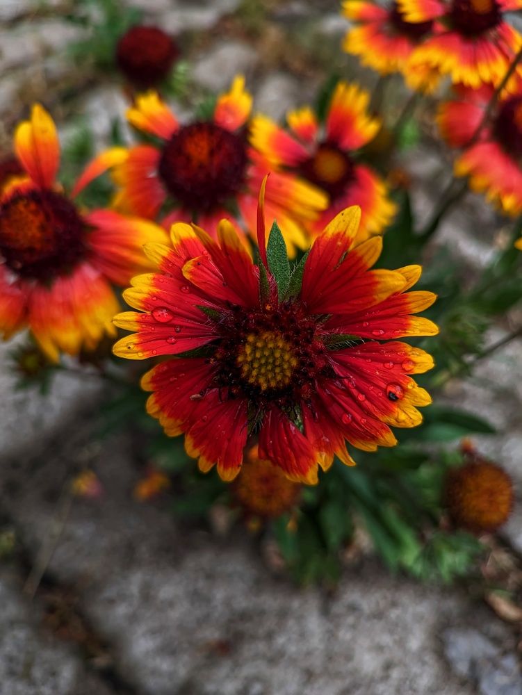 Photograph by Анна Напримерова