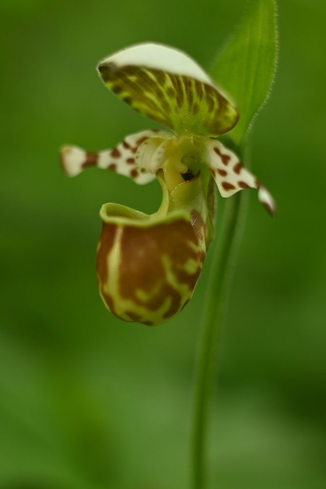 Фотография автора Егор Кондратьев