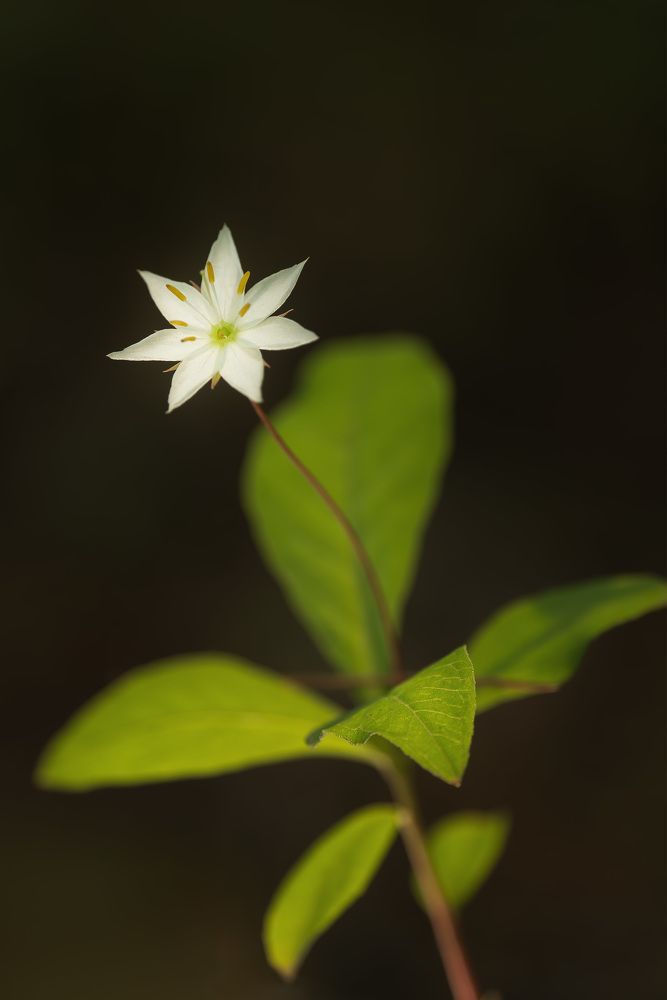 Фотография автора Егор Кондратьев