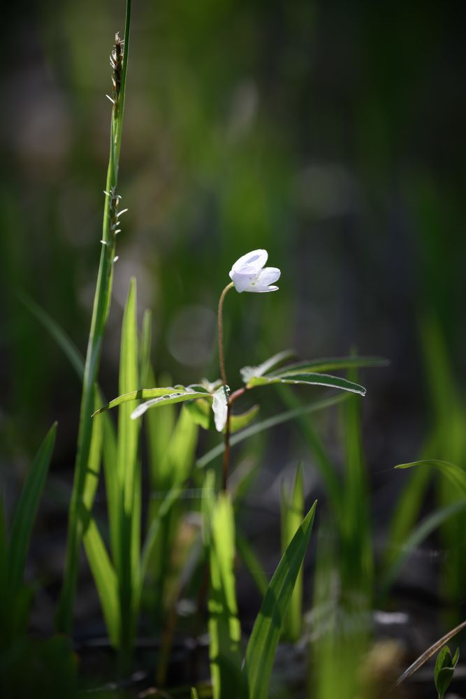 Фотография автора Егор Кондратьев