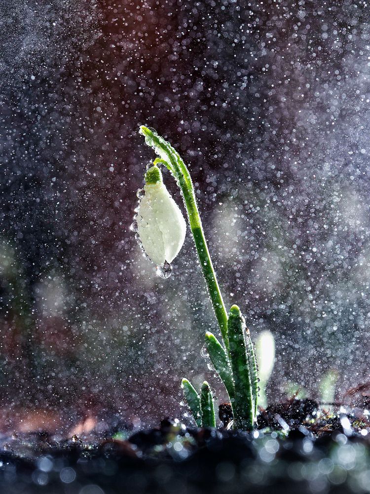 Photograph by Лукашук Евгений