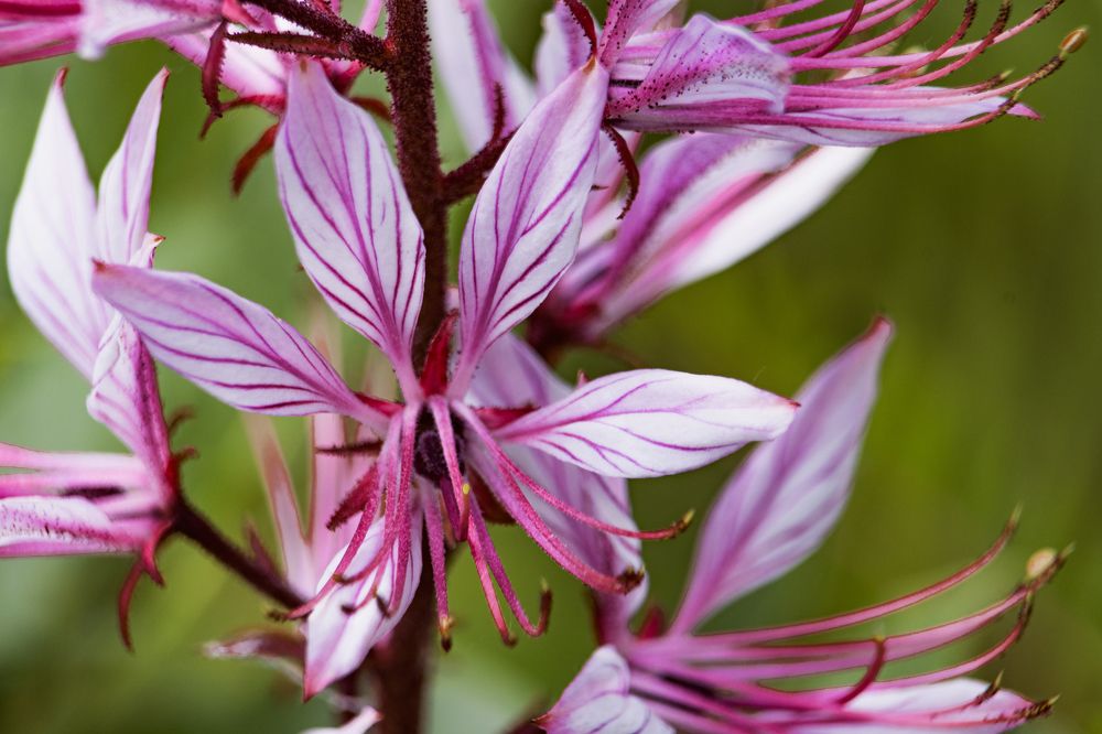 Фотография автора Андрей Жданов
