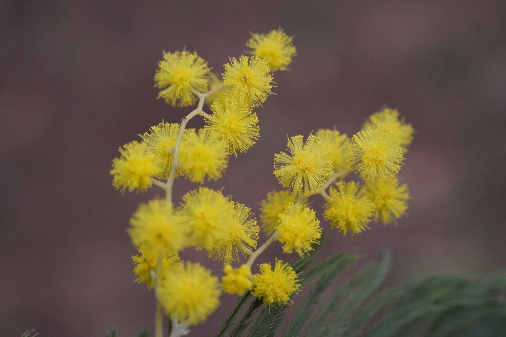 Photograph by Алфия Бугакова