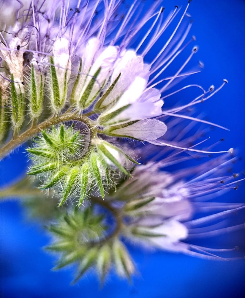 Photograph by Юлия Смирнова