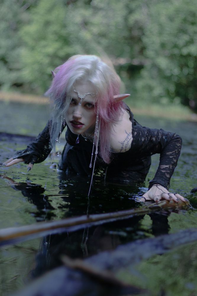 Фотография автора  Dash