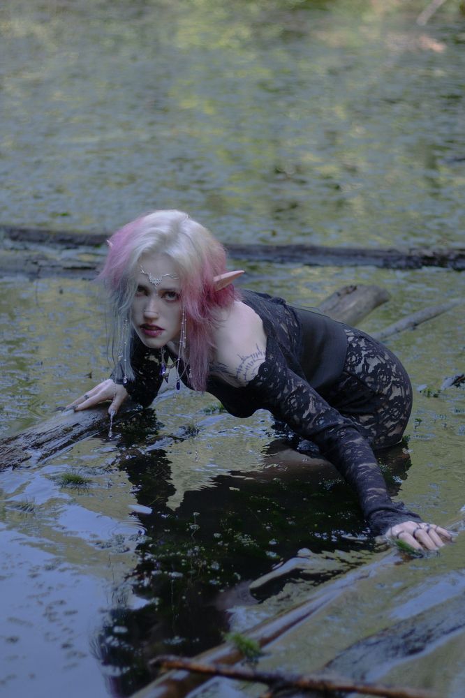 Фотография автора  Dash