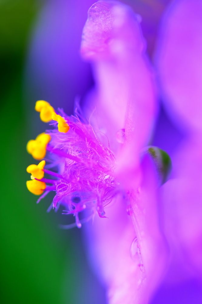 Photograph by Владимир Кирсанов