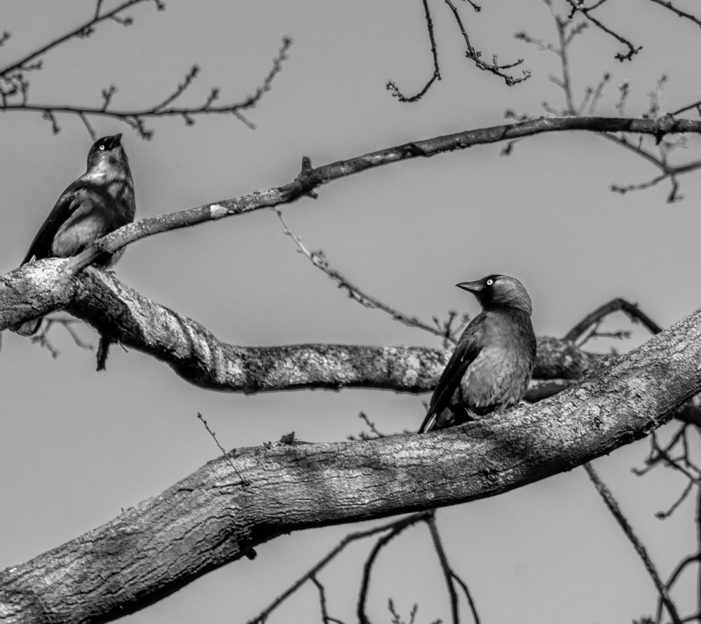 Фотография автора Vitalii Kaznin