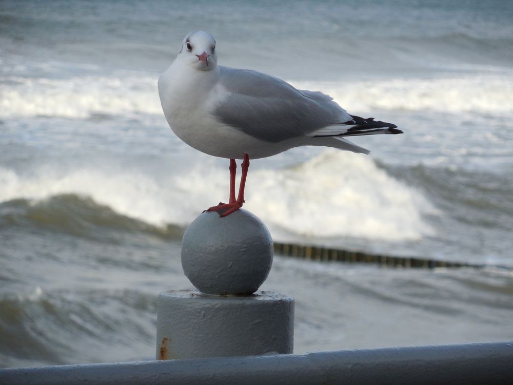 Photograph by Людмила Сотникова