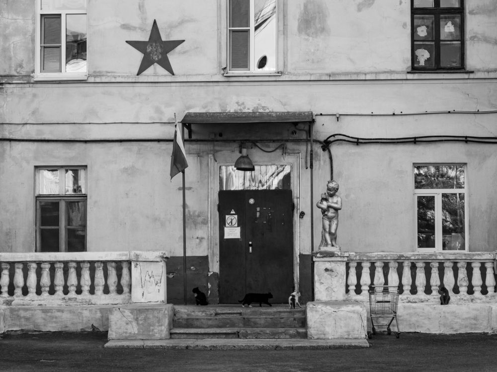 Фотография автора Olga Shchetinina