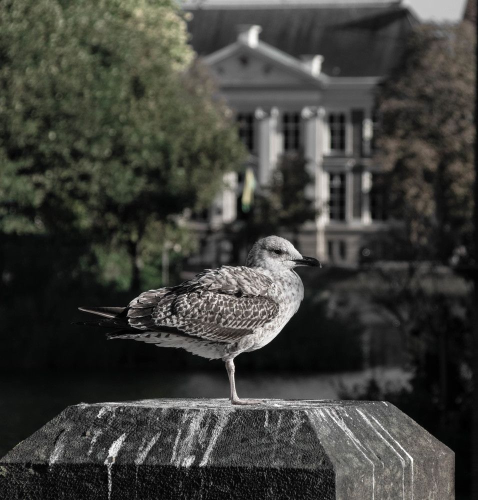 Photograph by Vitalii Kaznin