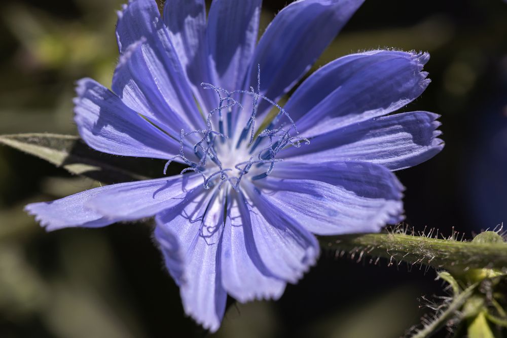 Фотография автора Branko Banko