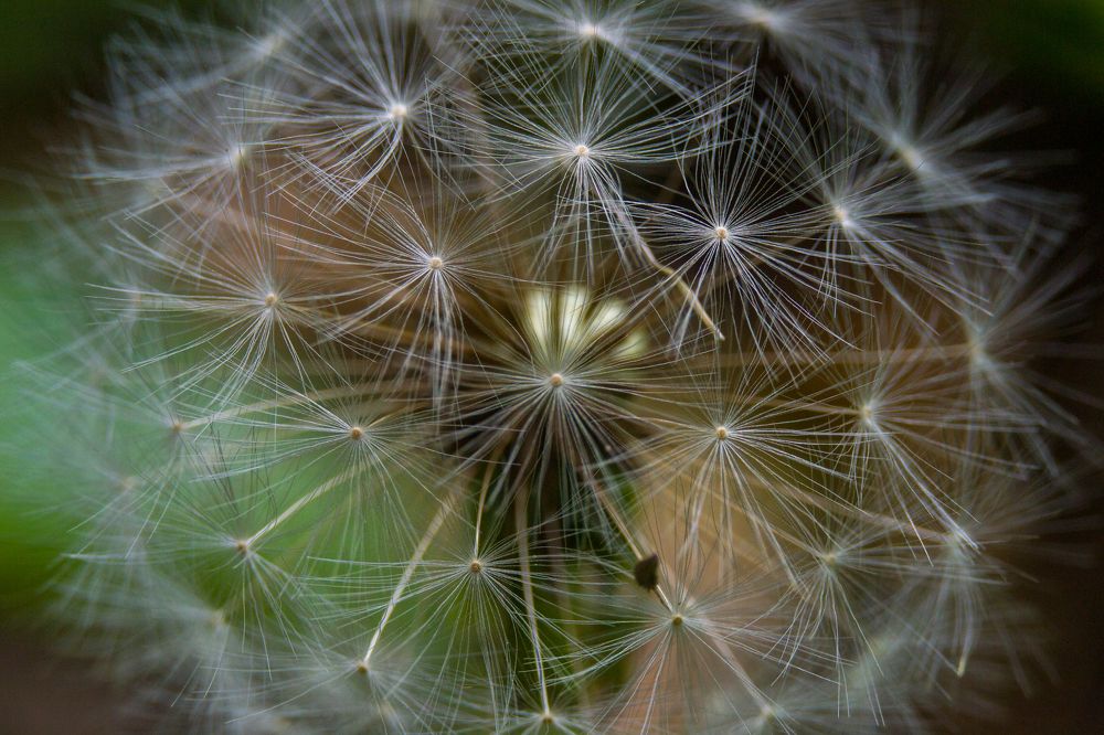 Photograph by Олег Алексеев