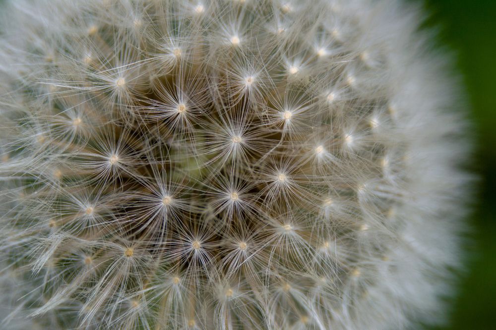 Photograph by Олег Алексеев