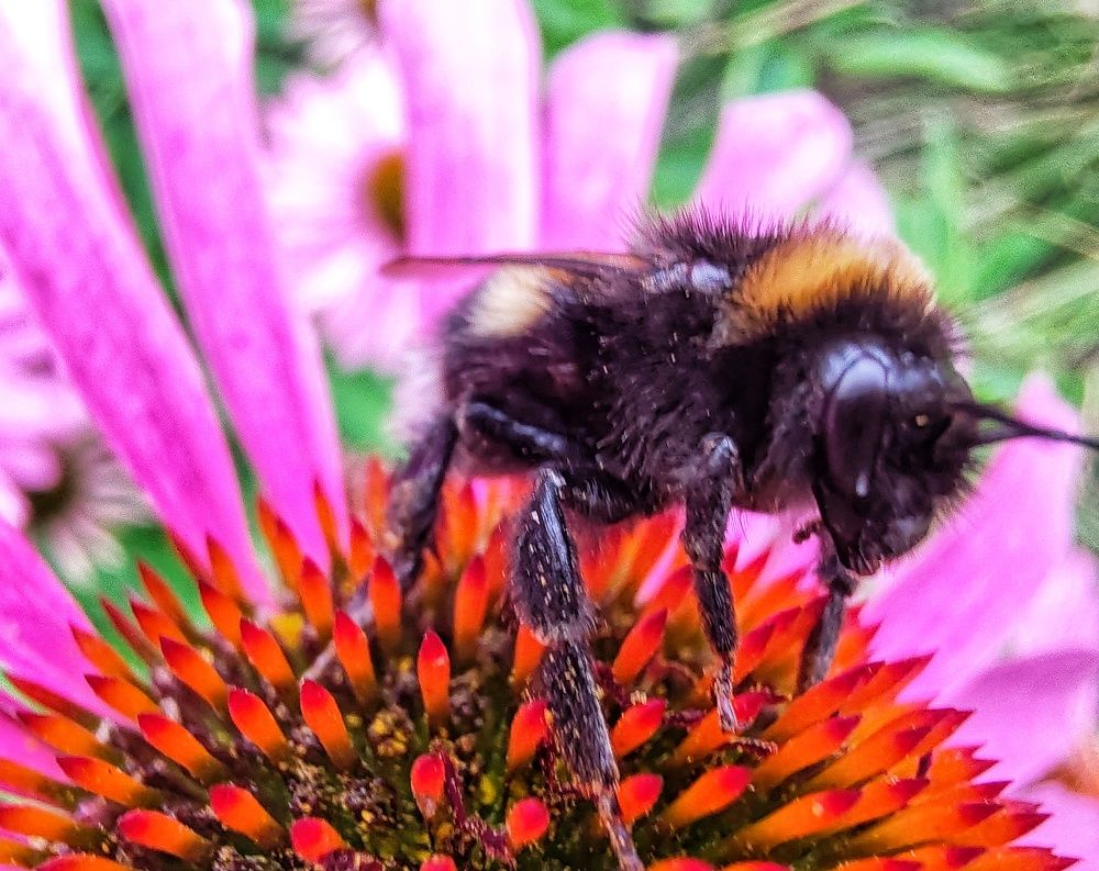 Photograph by Дайана