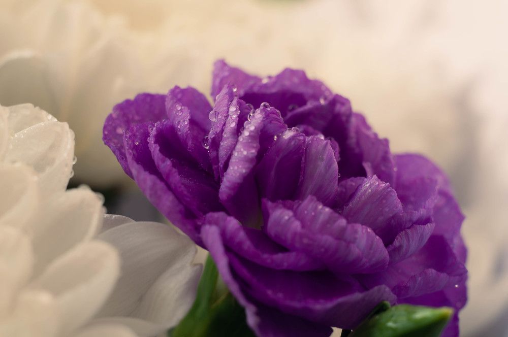 Photograph by Вадим Басов