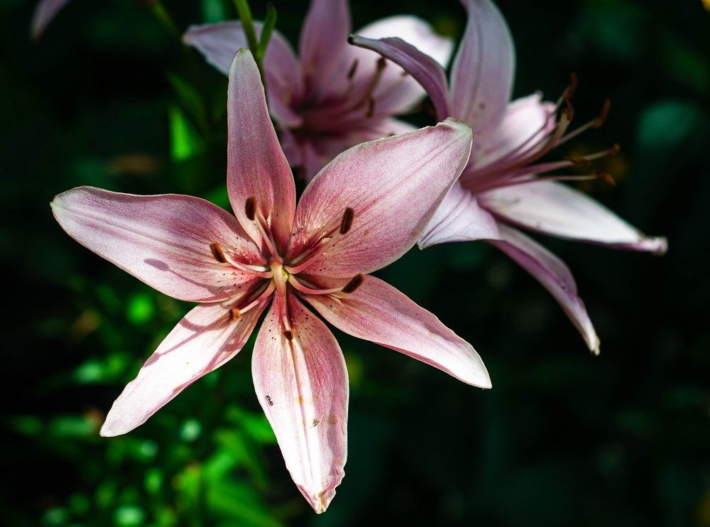 Photograph by Вадим Басов