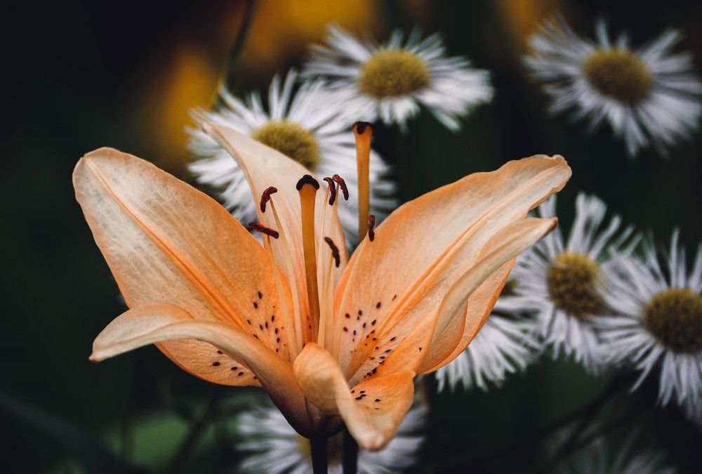 Photograph by Вадим Басов