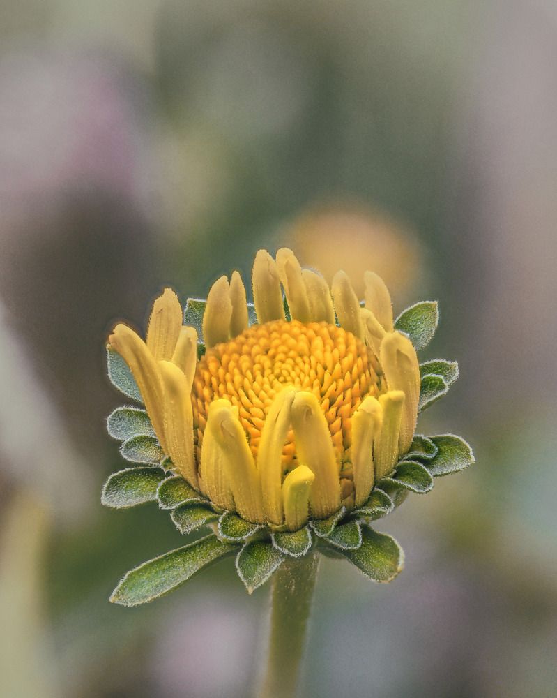 Photograph by Дмитрий Поварков