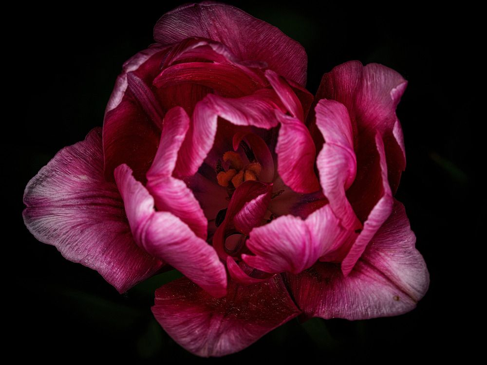 Photograph by Дмитрий Поварков