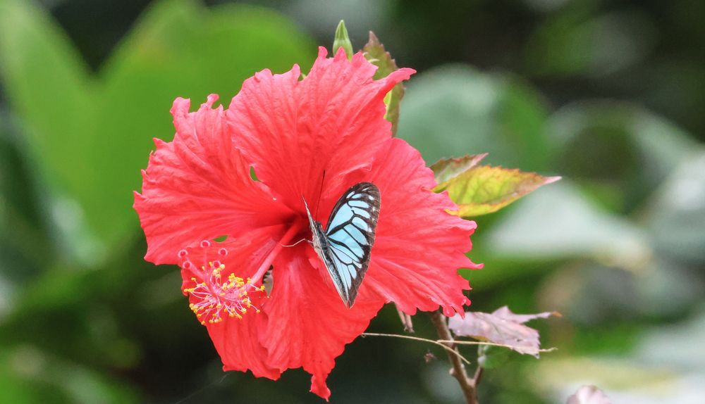 Photograph by Praveen kumar Sampath