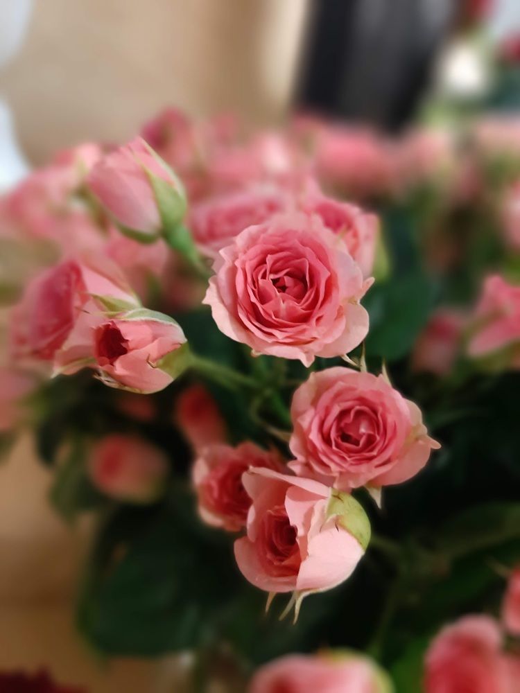 Photograph by Елена Горева