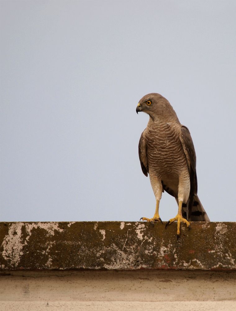 Photograph by Farid Ataei