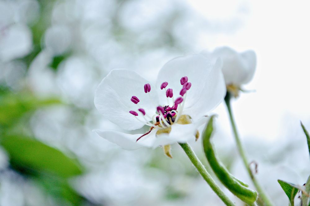 Photograph by María Gromiko