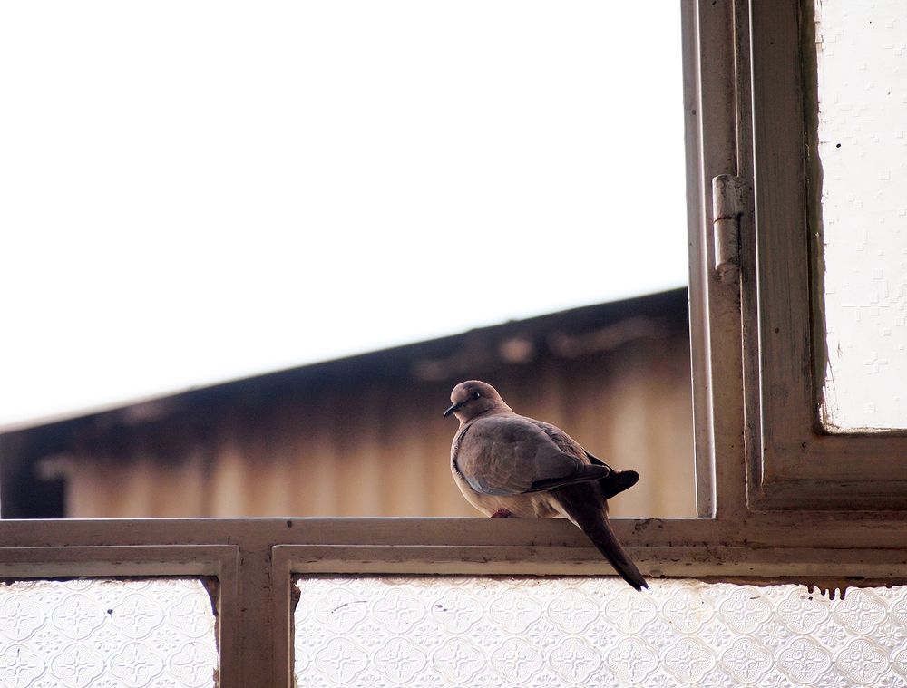 Photograph by Farid Ataei