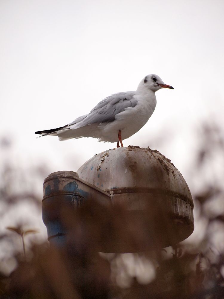 Photograph by Farid Ataei