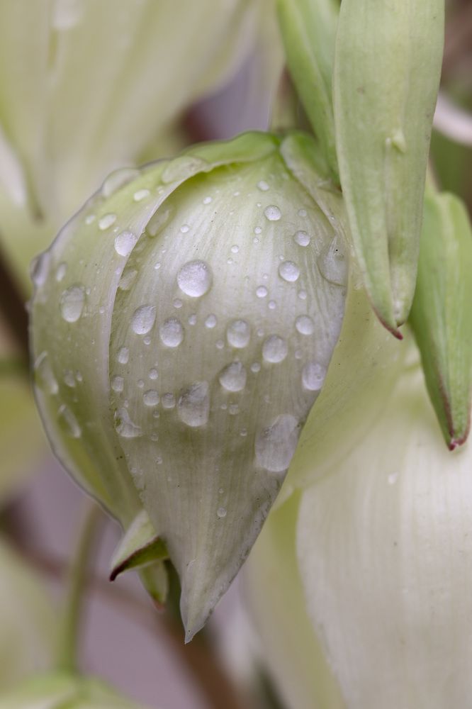 Photograph by Оксана Сафина