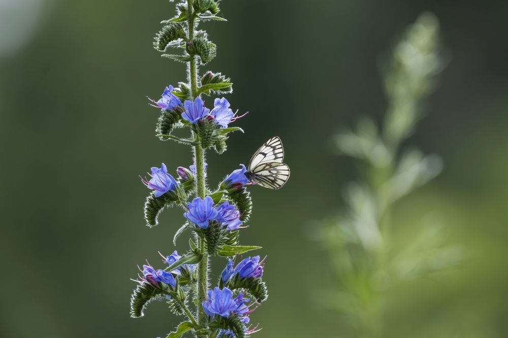 Photograph by Светлана Краюшкина