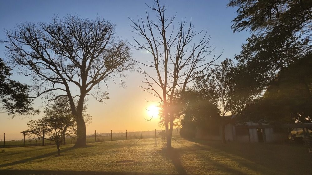 Photograph by Gilson Marcos Ferreira de Oliveira Oliveira