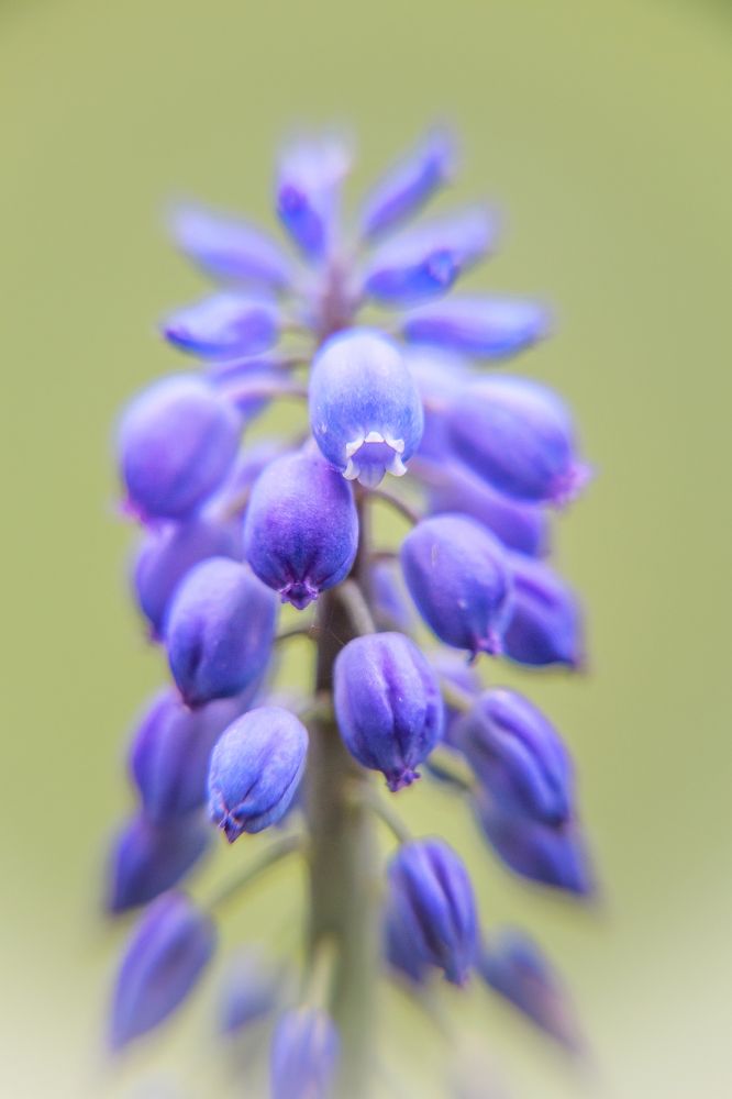 Photograph by виктор ковчин