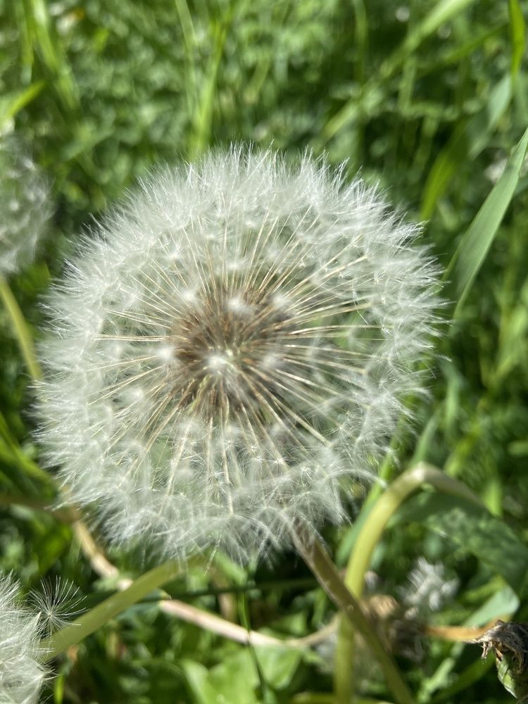 Фотография автора Татьяна Савранчук