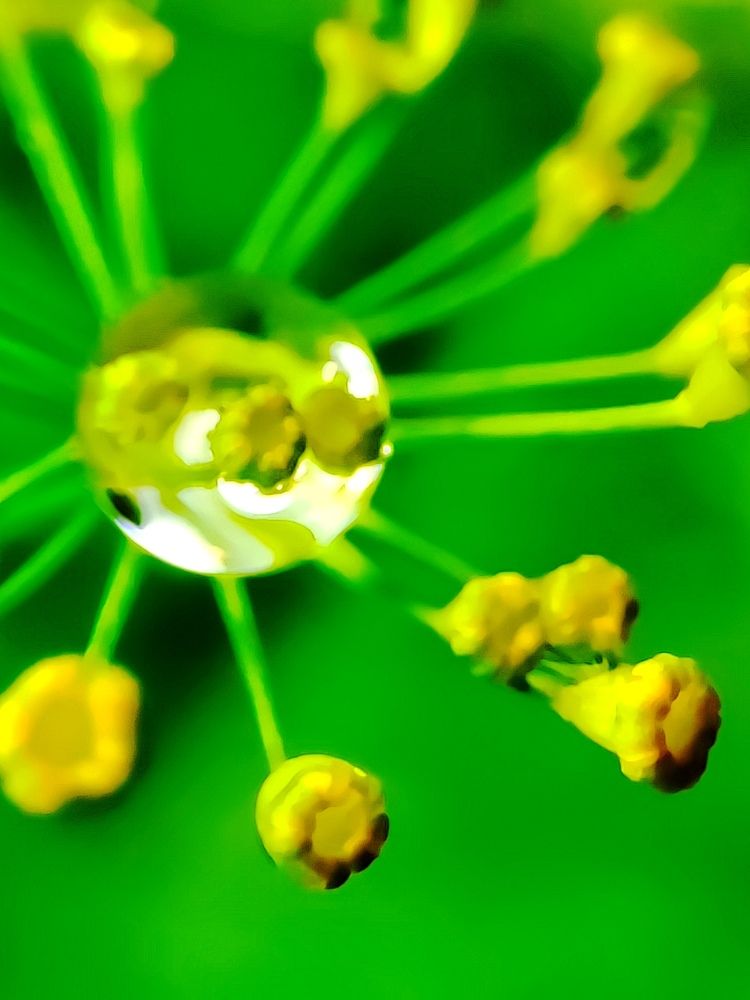 Photograph by Юлия Гинтер