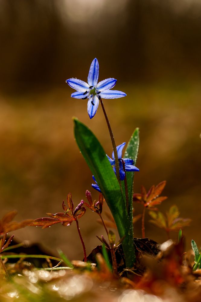 Photograph by Сергей Конюшенко