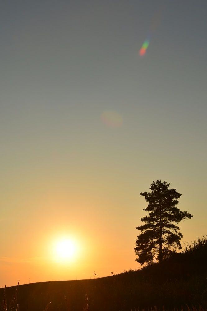 Photograph by Татьяна Абабкова