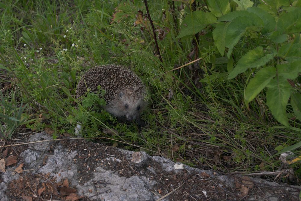 Photograph by Светлана Зайкова
