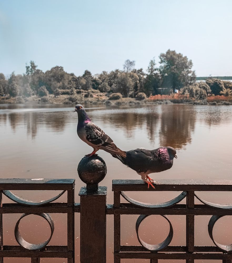 Фотография автора Нина Зинченко