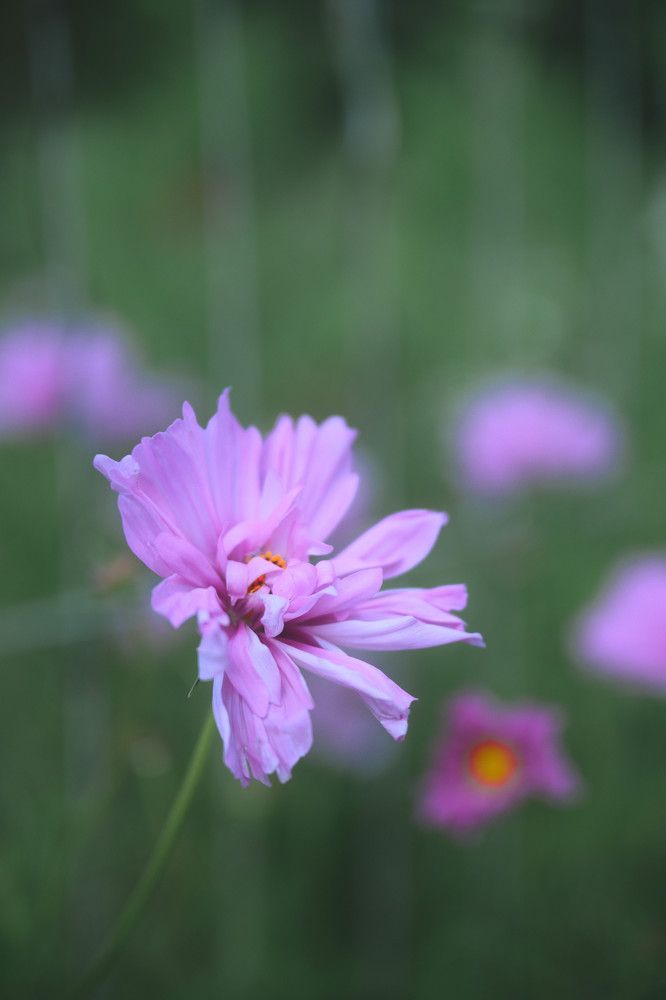 Photograph by Анастасия Жучкова