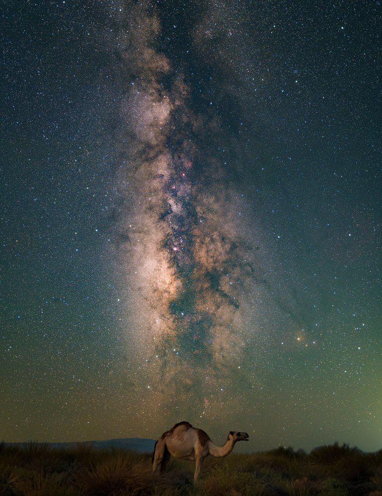 Photograph by Omer Baram