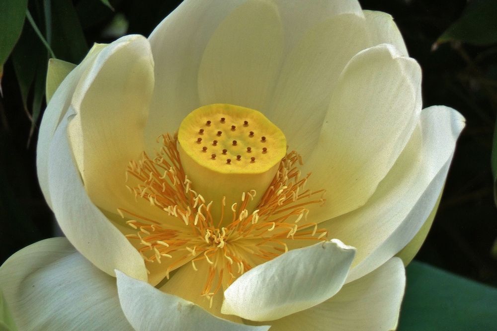 Photograph by backareva irina