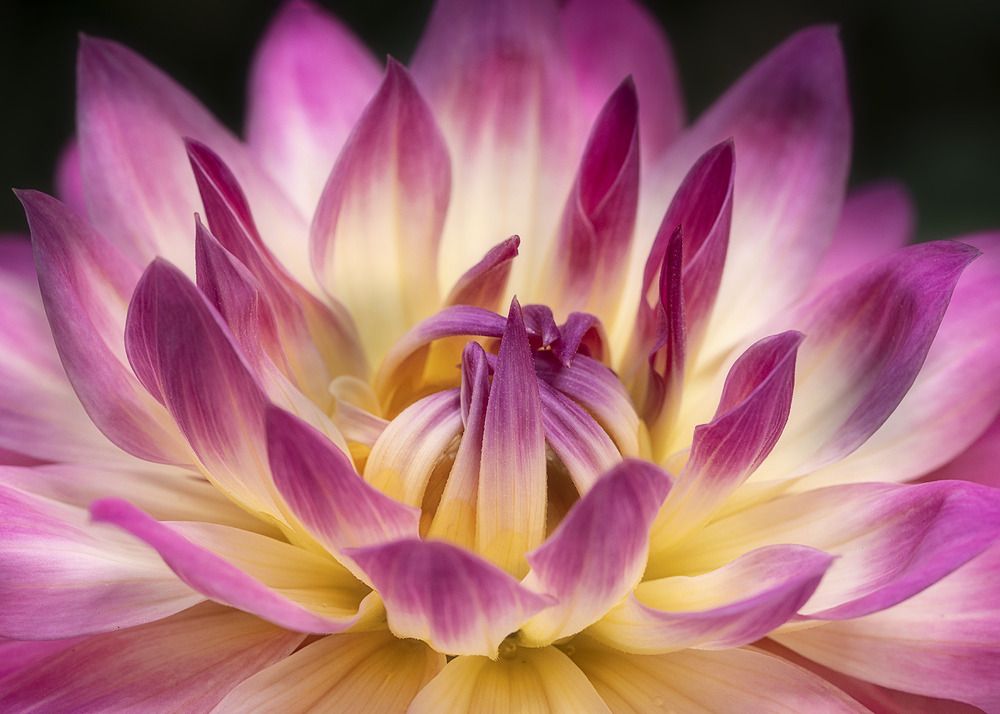 Photograph by Jose Vega