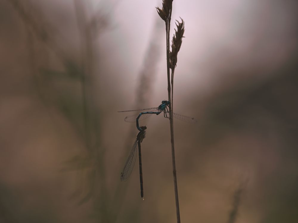 Фотография автора Jaroslav Hanzalík