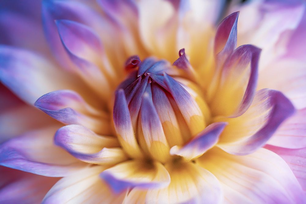 Photograph by Jose Vega