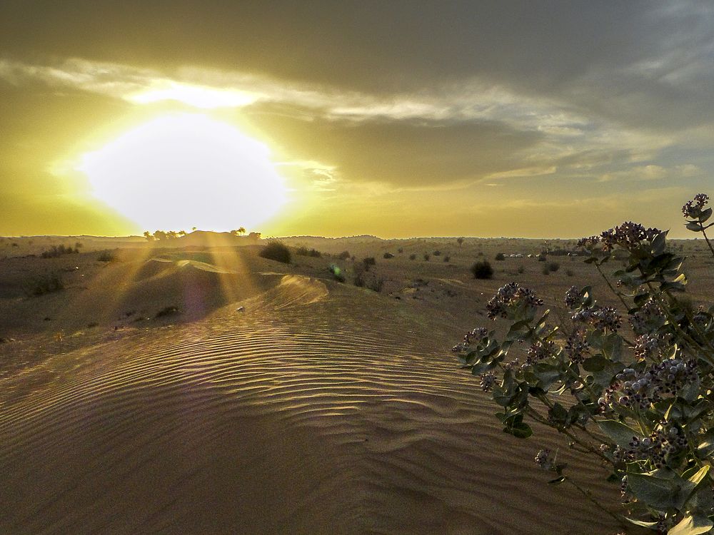 Photograph by Luiz Augusto Magina