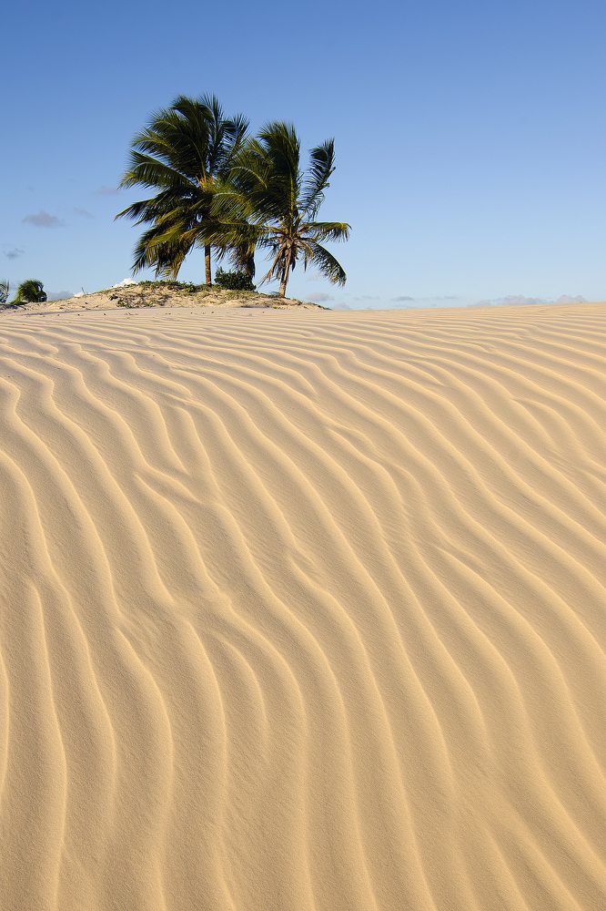 Photograph by Luiz Augusto Magina