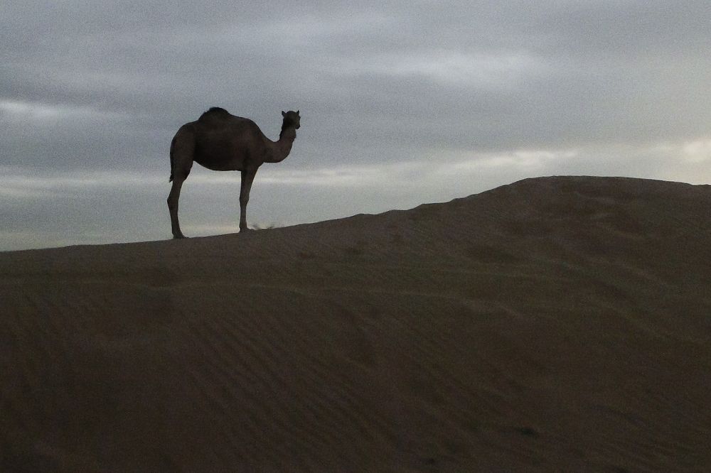 Photograph by Luiz Augusto Magina