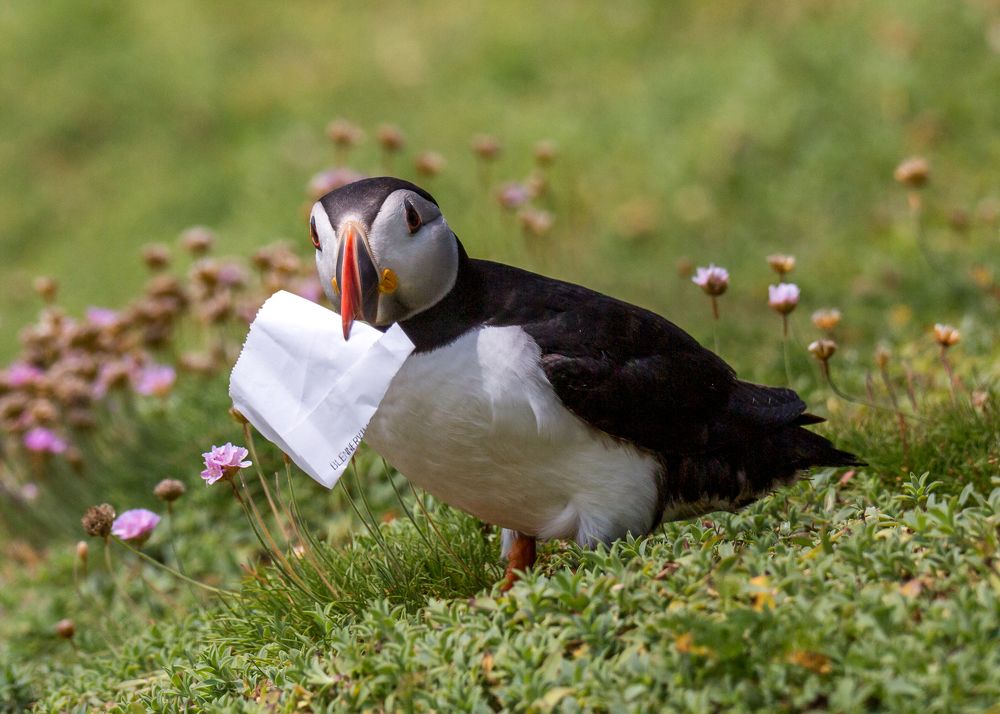 Photograph by Anatoly Chomko